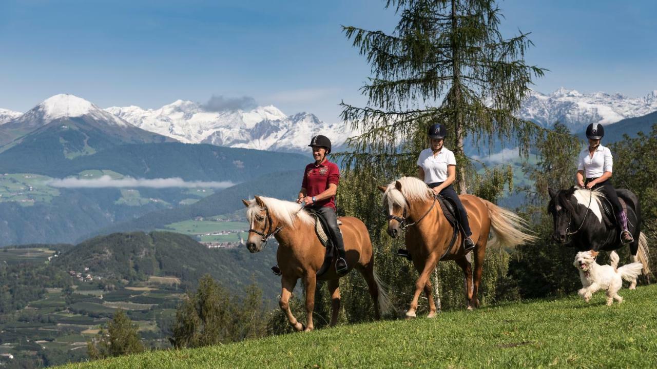 Widmannhof - Urlaub Auf Dem Biobauernhof Villa Brixen Exteriör bild