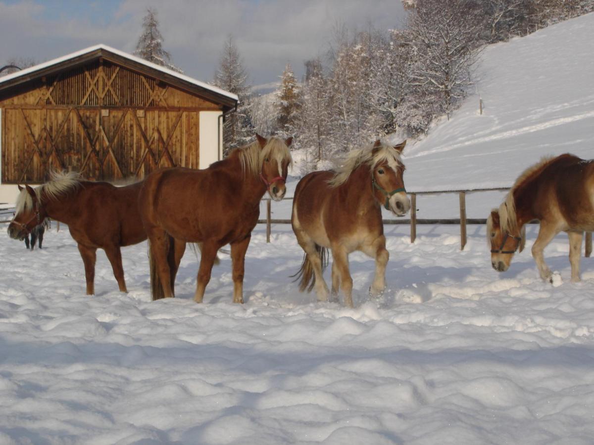 Widmannhof - Urlaub Auf Dem Biobauernhof Villa Brixen Exteriör bild