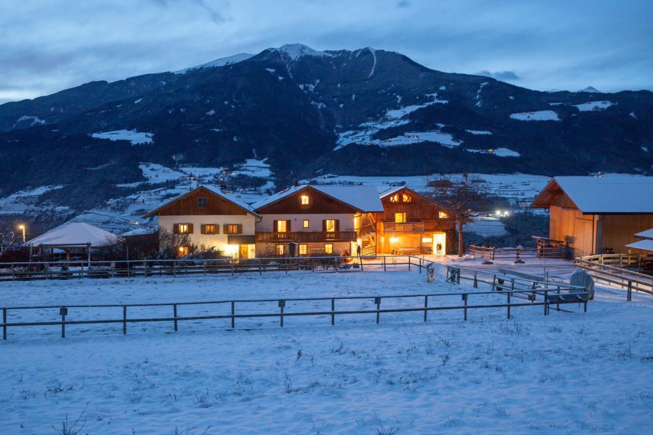 Widmannhof - Urlaub Auf Dem Biobauernhof Villa Brixen Exteriör bild