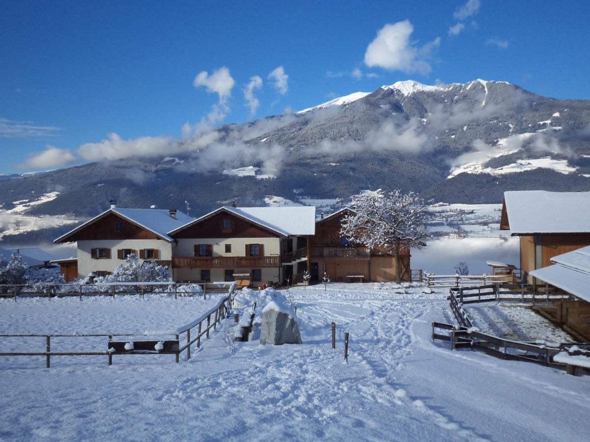 Widmannhof - Urlaub Auf Dem Biobauernhof Villa Brixen Exteriör bild